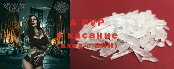 спиды Лагань